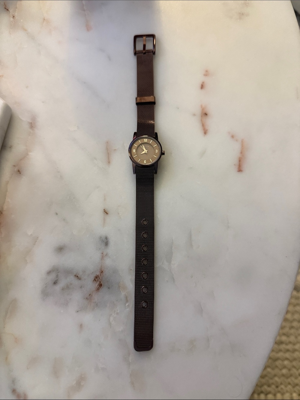 DKNY Brown Mesh Strap Women's Watch